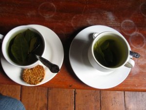 Tea made with coca leaves to reduce altitude sickness